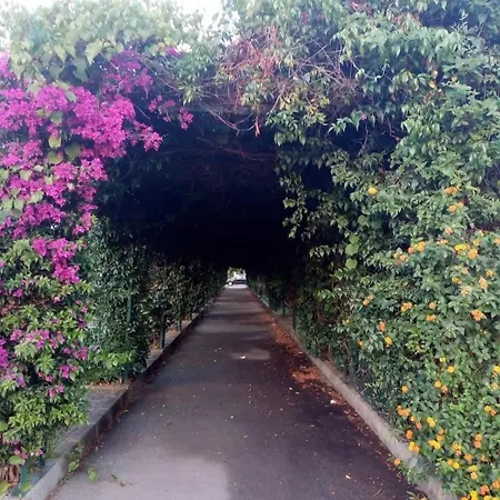 Apartman Dimore - Salento Cost